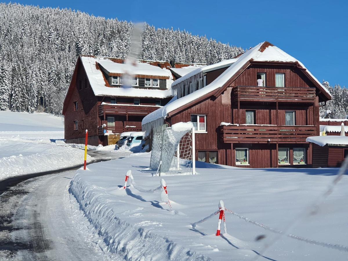 B Und B Titisee Hotel Sonnenmatte Nahe Badeparadies Eksteriør billede