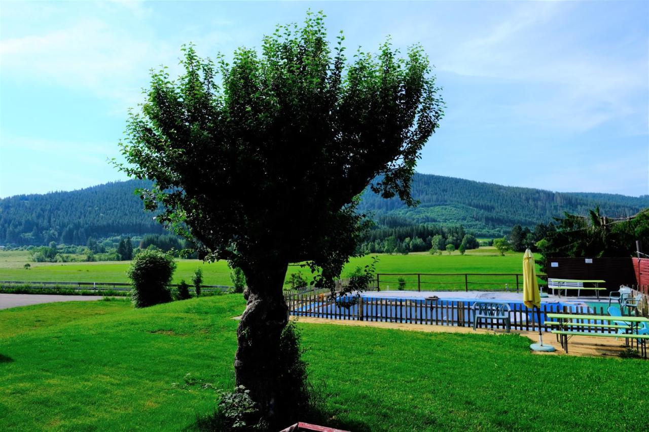 B Und B Titisee Hotel Sonnenmatte Nahe Badeparadies Eksteriør billede